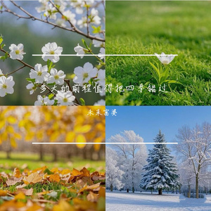 噢美黄色，55555555
