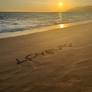 噢美黄色，55555555
